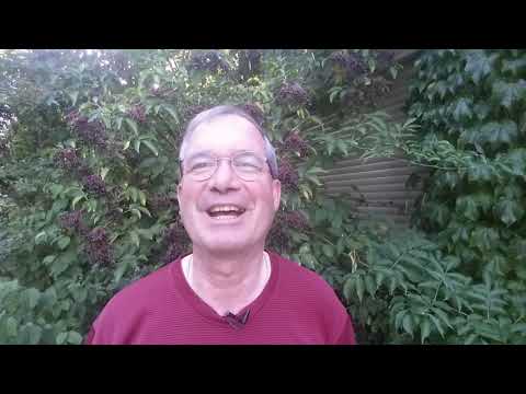 Youtube Vorschau - Video ID Jc6kgy5r0r0