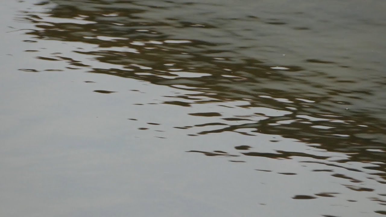 Youtube Vorschau - Video ID JxA-CBdPINg