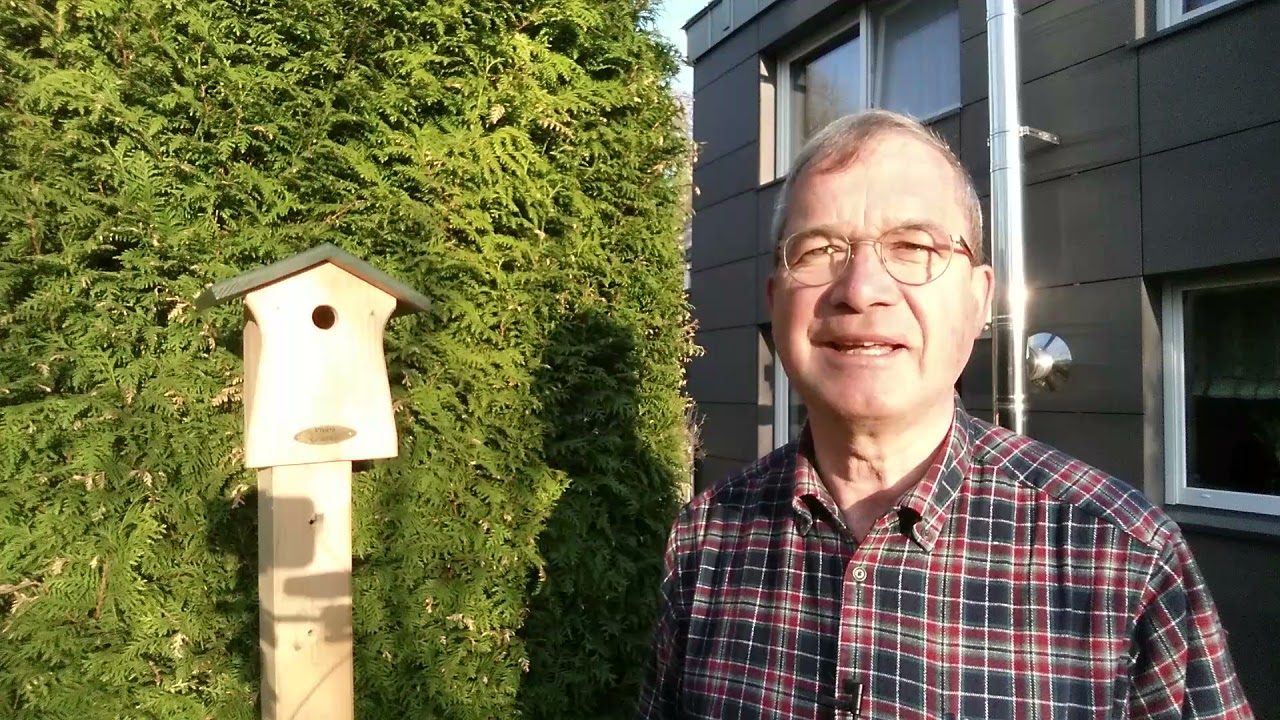 Youtube Vorschau - Video ID LtRZhKaXvFw