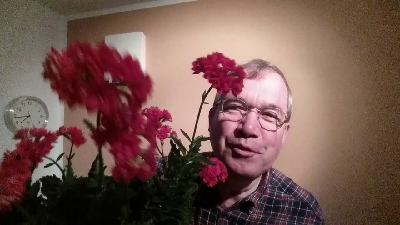 Youtube Vorschau - Video ID cTtKI_pxc9s
