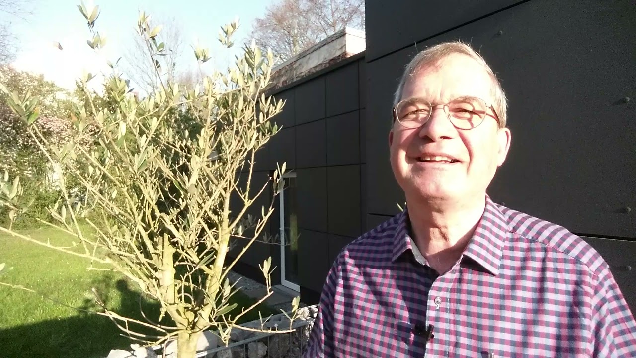 Youtube Vorschau - Video ID izLXotyJONk