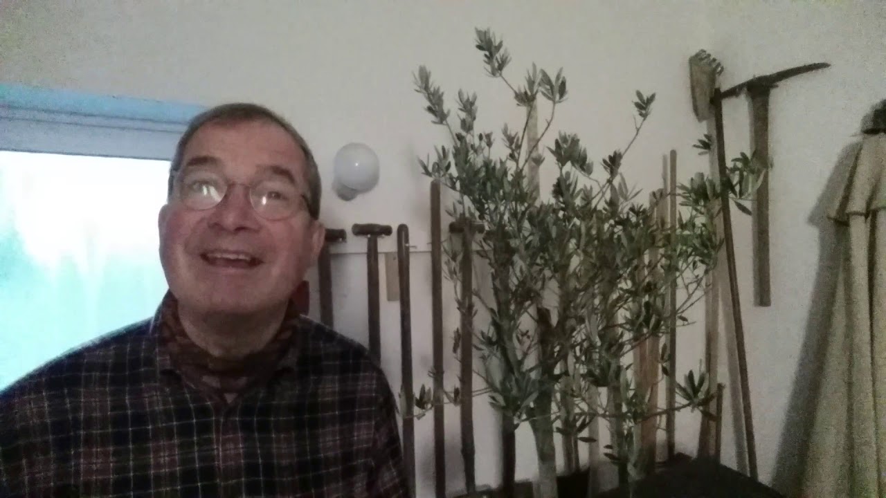 Youtube Vorschau - Video ID s9fW5z76q9I