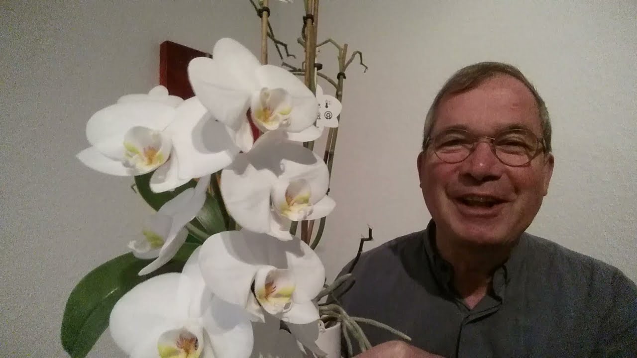 Youtube Vorschau - Video ID vD4KU-48sAg